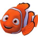 arranged – class – nemo