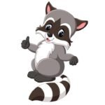 arranged – class – raccoon