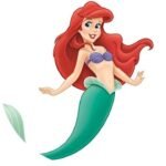 arranged – main – ariel