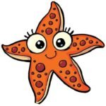 arranged – supportive – sea star