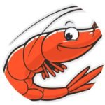 arranged – supportive – shrimp